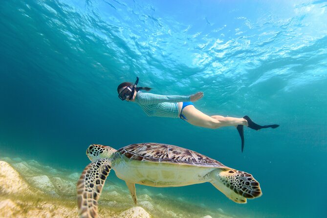 Turtles Excursion — photo 8