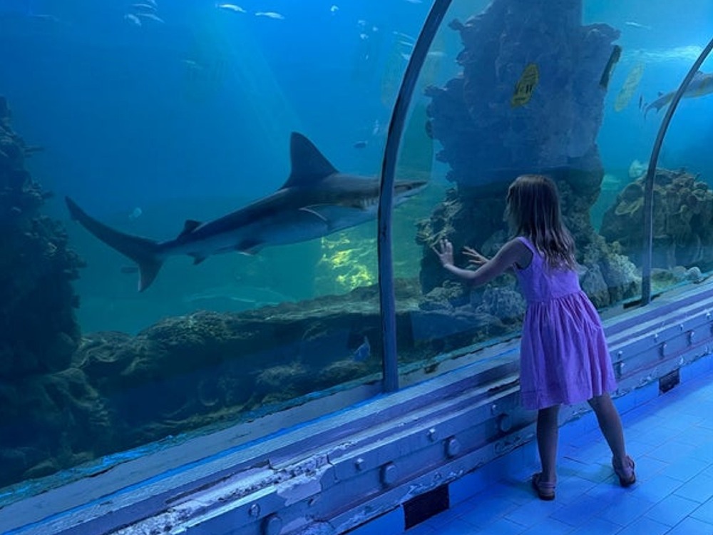 Hurghada Aquarium — photo 4
