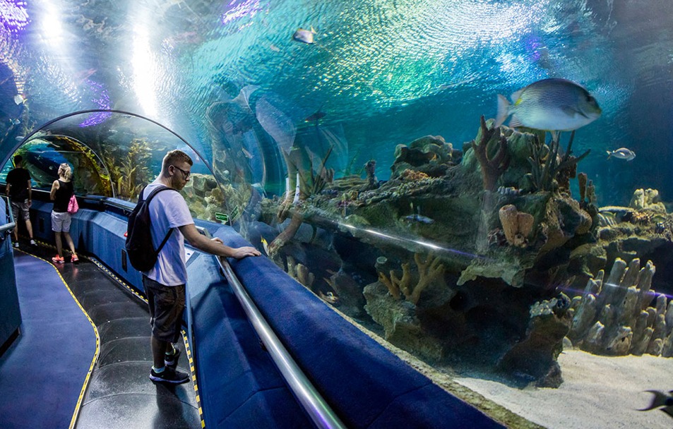 Hurghada Aquarium