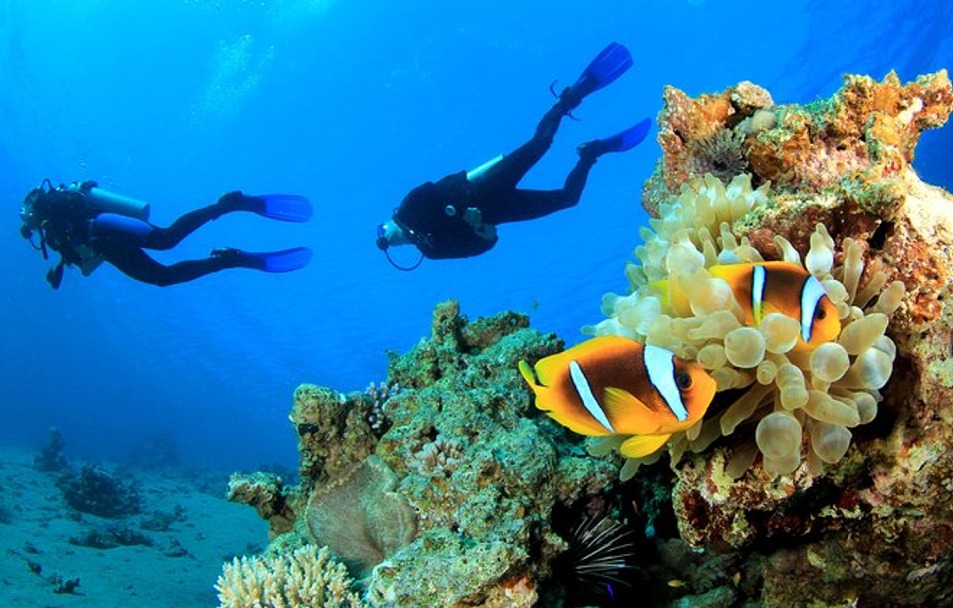 Diving