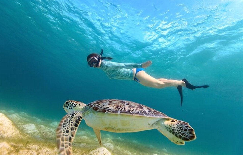 Turtles Excursion