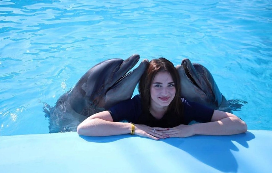 Dolphins Show
