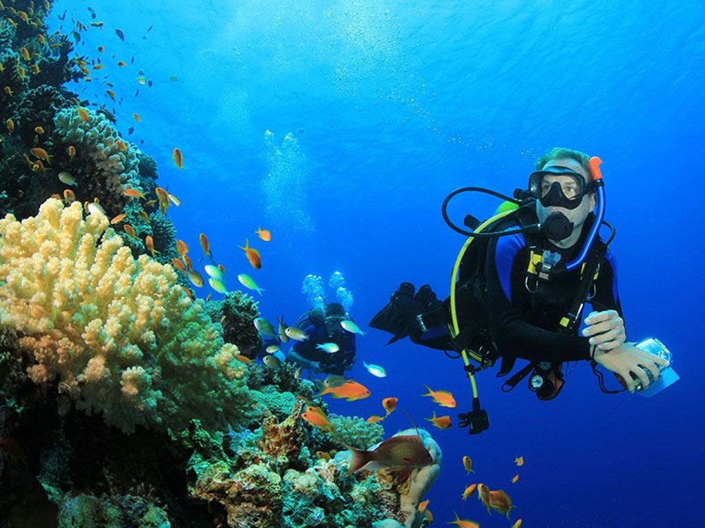 Diving — photo 3