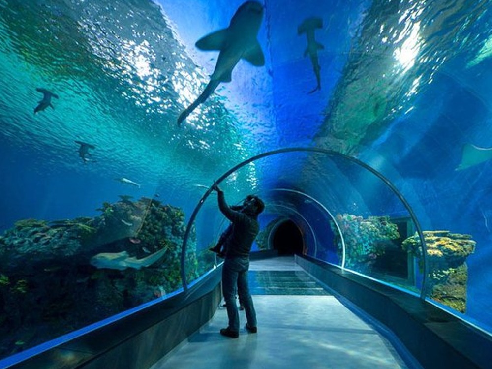 Hurghada Aquarium — photo 2