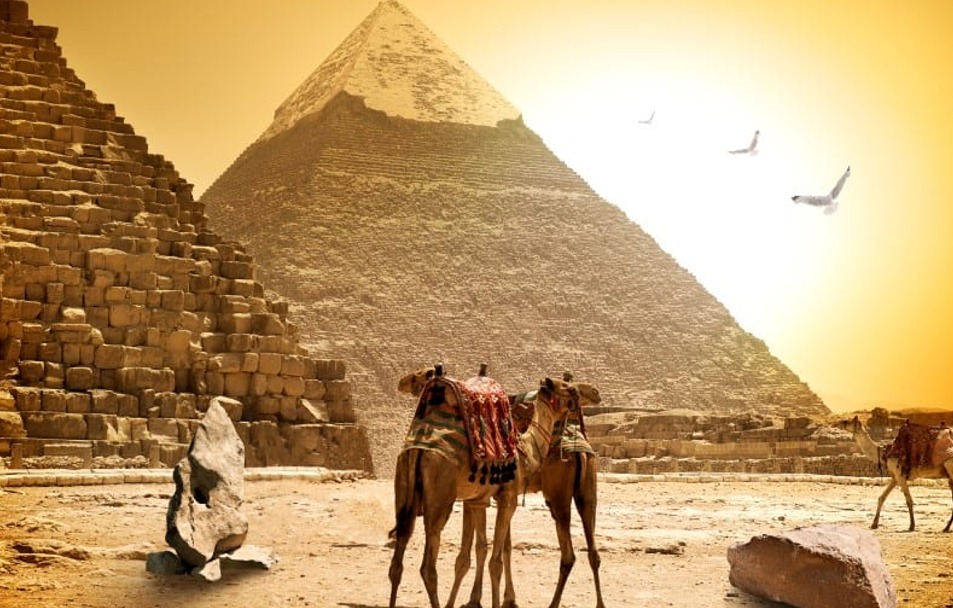 Pyramids In Cairo