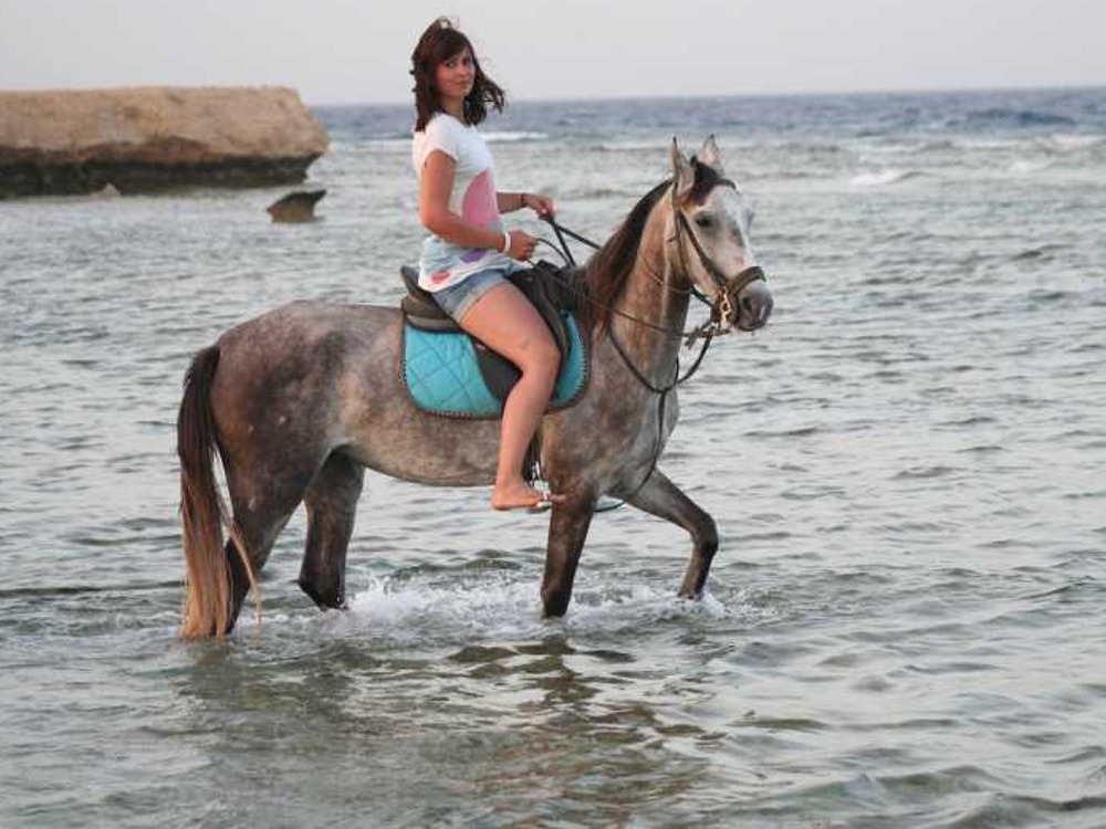 Hurghada Horse Riding — photo 3
