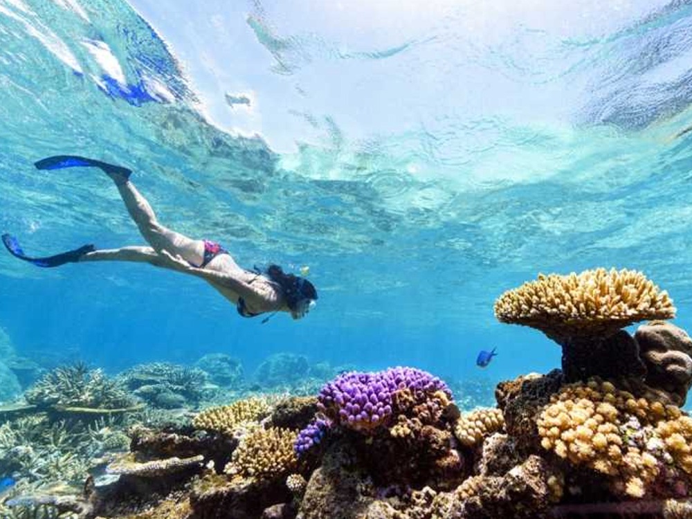 Sharm El Naga — photo 9
