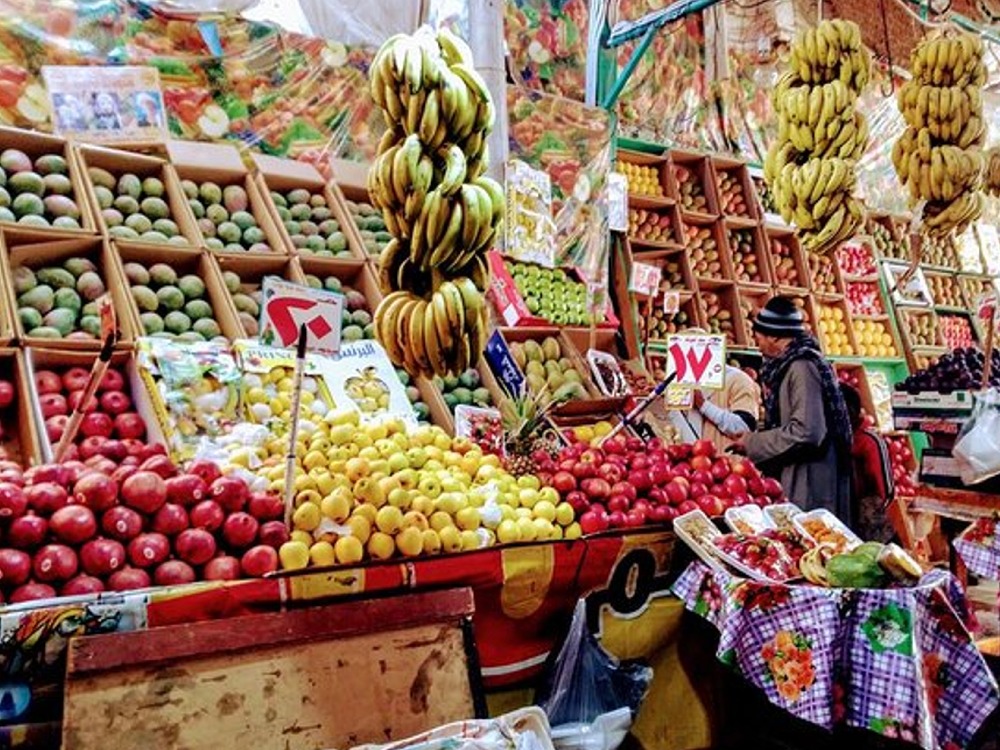Hurghada City Tour — photo 4