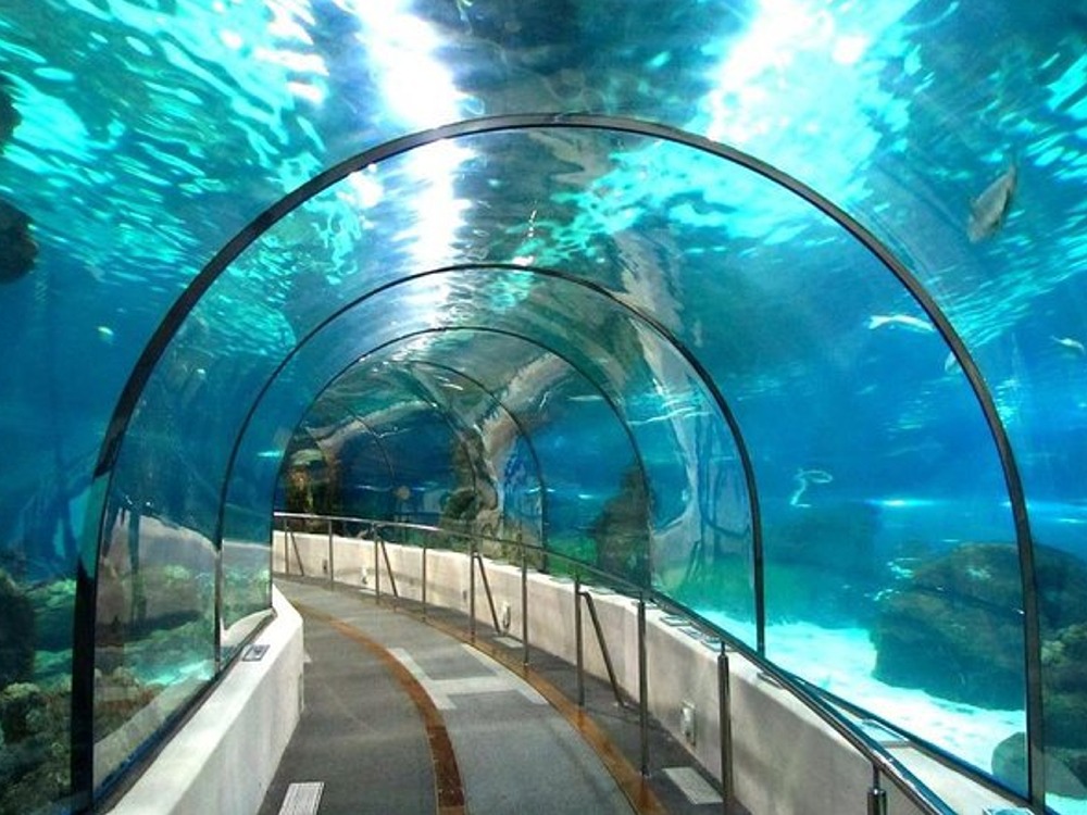Hurghada Aquarium — photo 1