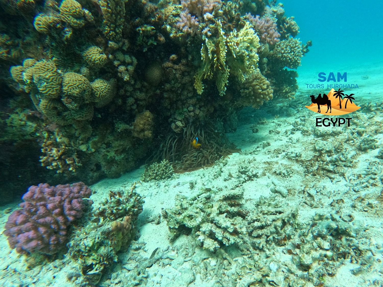 Paradise Island — photo 1