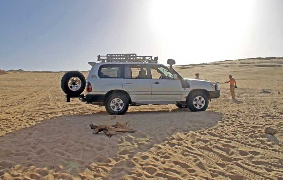 Jeep Safari Adventure