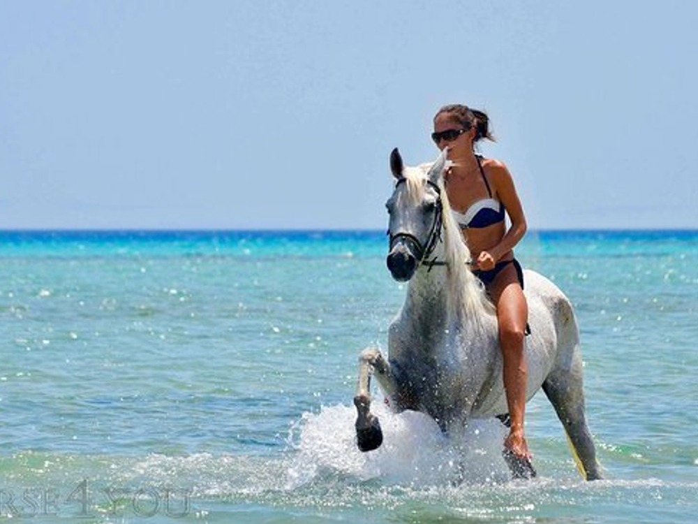 Hurghada Horse Riding — photo 1