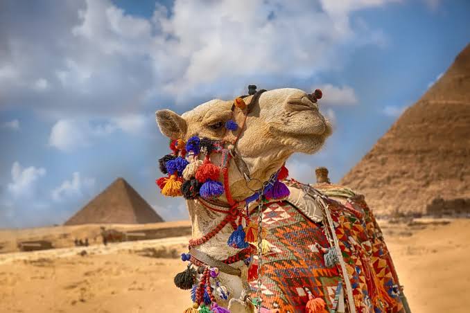 Cairo, Egypt